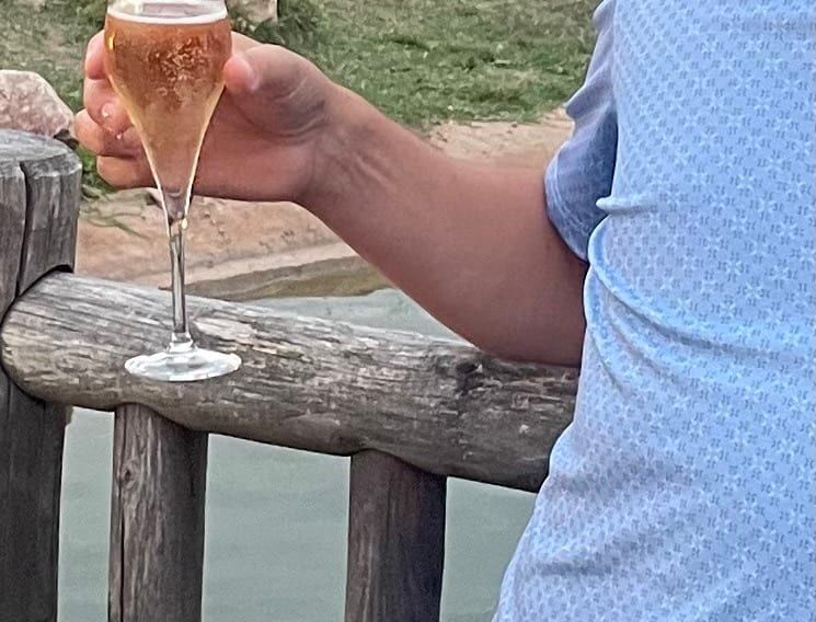 Profil von Anik